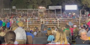 ‘It was pandemonium’:Bull escapes,charges crowd at Kununurra Rodeo