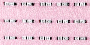 Acoustic tags helped researchers track the doped-up fish.