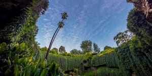 Umpherston Sinkhole,Mount Gambier.