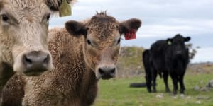 Farmers told to beef up green credentials to trade with Europe