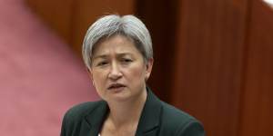 Foreign Minister Penny Wong infuriated some with calls for a ceasefire between Israel and Hamas.