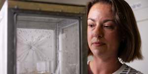 Dr Claire Sayers with study mosquitoes in the Baum Laboratory insectary at the University of NSW.