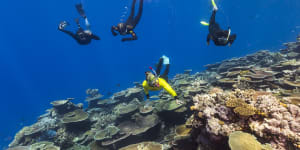 The project on the Great Barrier Reef,to boost coral resilience,is a collaboration with Mars Sustainable Solutions,part of Mars Incorporated,and Reef Magic Cruises,alongside James Cook University and Indigenous rangers.
