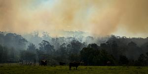 Bushfire smoke rises in Sydney as the Bureau of Meteorology warns of hot,dry conditions brought by El Nino.