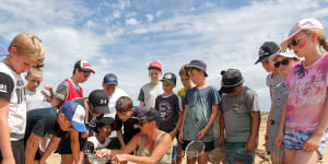 How a wave of nurdles woke up the people of Warrnambool