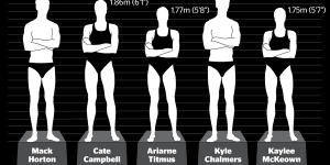 Most swimmers are taller than average.
