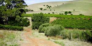 Vineyards among the rolling hills of Barossa.