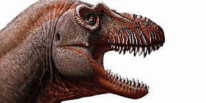 Dinosaurs.