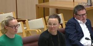Dr Erin Twyford appearing before the Senate inquiry.