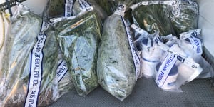 More than 180 cannabis plants seized from Downer house