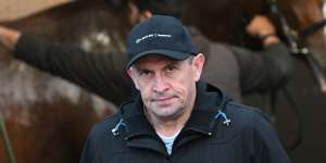 Chris Waller says Soulcombe (behind) will return for the Melbourne Cup next year.
