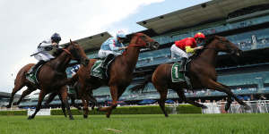 King Of Sparta sprints home in the Expressway at Randwick on Saturday.