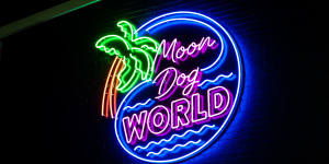 Up in lights:Moon Dog expands in Preston.