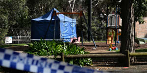 Teenager charged with affray after stabbing death at Sydney park