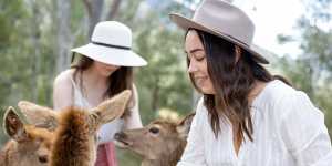Cuddling and hand-feeding the deer is encouraged at Lyell Deer Sanctuary.