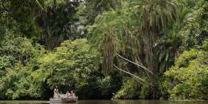 The Congo is still one of the most biodiverse parts of the planet.