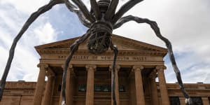 Meet the gargantuan spider about to take over Sydney