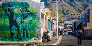 There are more than 100 works of street art in Woodstock,Cape Town.