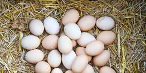 Consumers urged not to stockpile eggs as Coles imposes limits