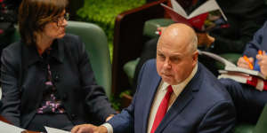 Treasurer Tim Pallas delivers the Victorian budget in parliament on Tuesday.