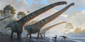 It’s not a stretch:This dinosaur had a 15-metre-long neck