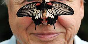 The world would be a poorer place without Sir David Attenborough’s contribution to it.