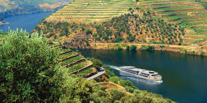 Cruising the Douro River with APT – an artist’s impression of the MS Estrela.