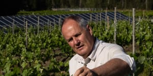 The Tulloch vineyard and winery is carbon neutral across the growing and wine-making process.