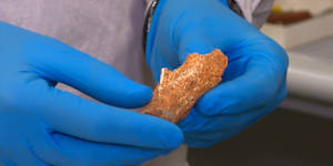 Scientists have unlocked a mystery after rediscovering a giant echidna fossil that had been gathering dust in a museum drawer for more than 100 years.