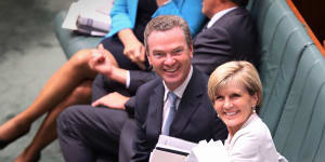 Julie Bishop suggests tighter lobbying standards for current ministers