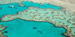 Great Barrier Reef export fishery banned for'disappointing'failure