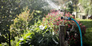 The best way to water will depend on the the type of garden you have