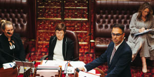 Treasury Daniel Mookhey delivered his first major economic update to NSW Parliament on Tuesday.