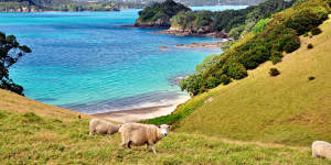 Of the Bay of Islands,Urupukapuka is the only accessible to visitors.