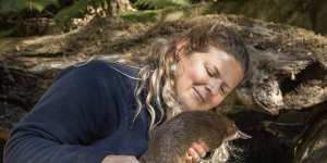 Christmas comes early for platypus rescued from remote country road