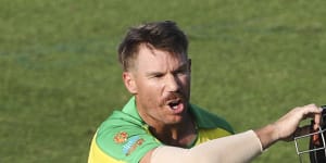 ‘A loss to the game’:Ferguson calls for Warner leadership ban to be revisited