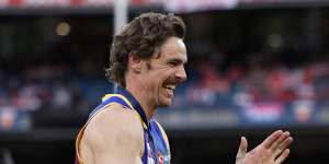 Joe Daniher’s 12-month retirement wait to win flag