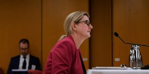 Investment NSW managing director Kylie Bell at the trade appointment inquiry last month.