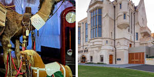 Michelle the Camel and Scots College’s student centre.