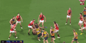 ‘What else can I do’:AFL admits error as debate rages over Draper non-call