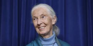 Fangirl moment:Dame Jane Goodall has endorsed the work of Emma Lewisham.