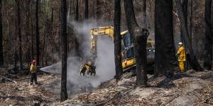 An RFS crew works to extinguish a fire smouldering in buried leaves and tree roots.