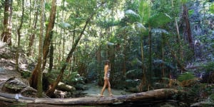 Back to paradise:K’gari name formally reclaimed for famed Fraser Island