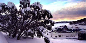 Boutique lodging ... Kosciuszko Chalet at Charlotte Pass,mid-season last year.