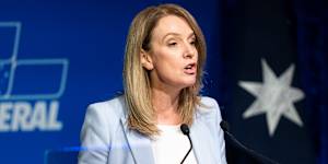 NSW Liberal leader Kellie Sloane says anyone who votes for One Nation in the March 2026 state election will be helping to re-elect Labor.