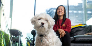 Man’s most expensive friend? The soaring cost of caring for the family pet