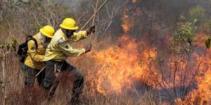 Members of the the National Center to Prevent and Combat Forest Fires fight a fire in the Xingu Indigenous Park in Mato Grosso in Brazil.