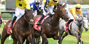 Mark Zahra (left) broke the whip rules on Without A Fight when beating just beating West Wind Blows (right) in the Caulfield Cup. 