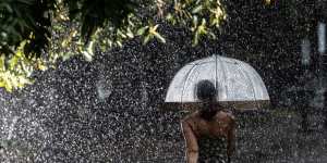 A woman braves the rain to walk in the Royal Botanic Gardens on Wednesday.
