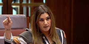 Lidia Thorpe first made sexual assault and harassment allegations in a speech to the Senate in June 2023. 